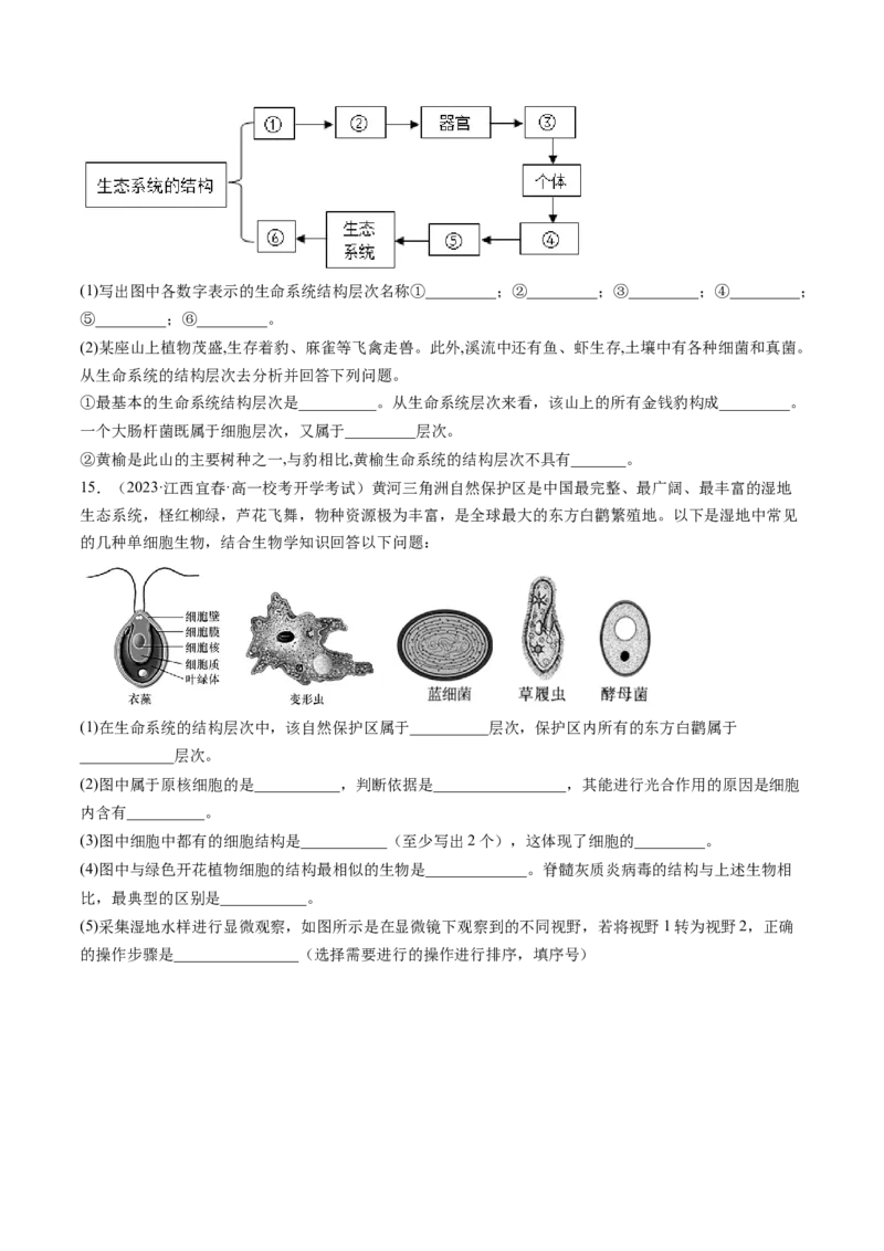 第1讲走近细胞（练习）（原卷版）_2024年新高考资料_1.2024一轮复习_2024年高考生物一轮复习讲练测（新教材新高考）