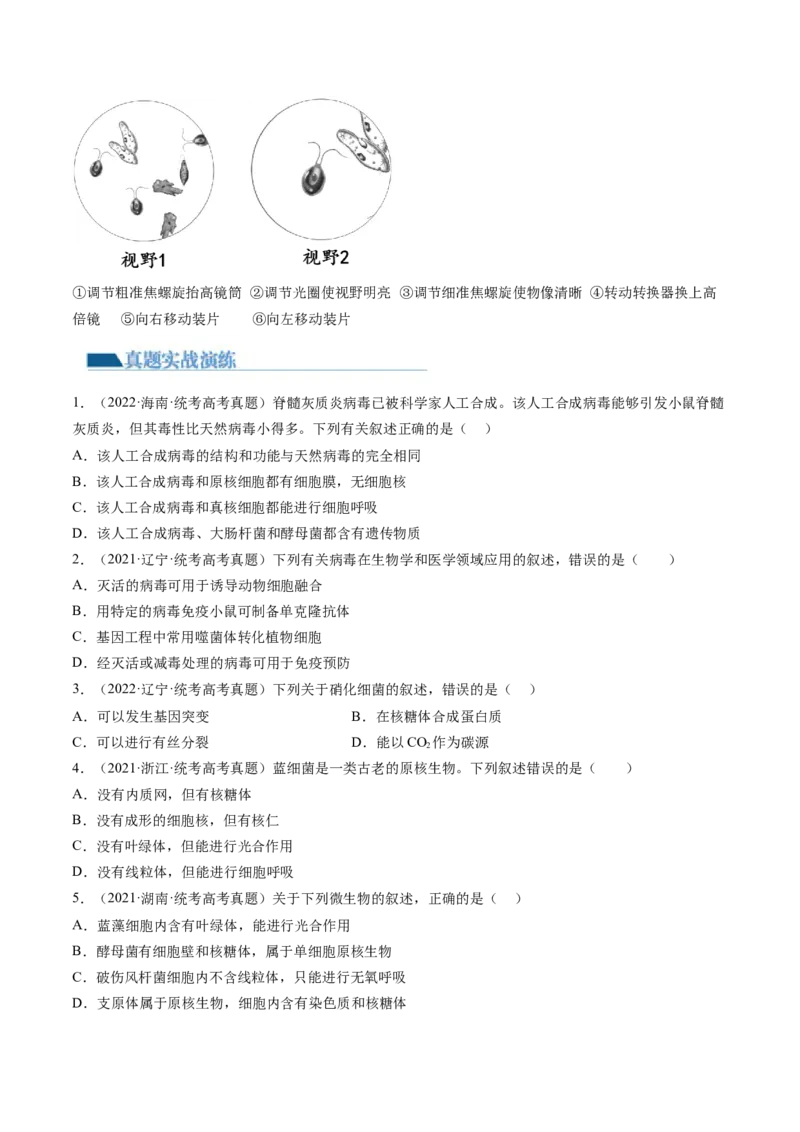 第1讲走近细胞（练习）（原卷版）_2024年新高考资料_1.2024一轮复习_2024年高考生物一轮复习讲练测（新教材新高考）