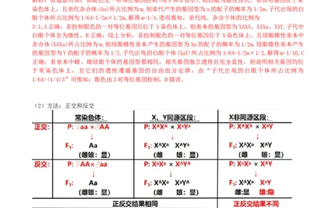 第19讲遗传综合实验分析（讲义）（教师版）_2024年新高考资料_1.2024一轮复习_2024年高考生物一轮复习讲练测（新教材新高考）