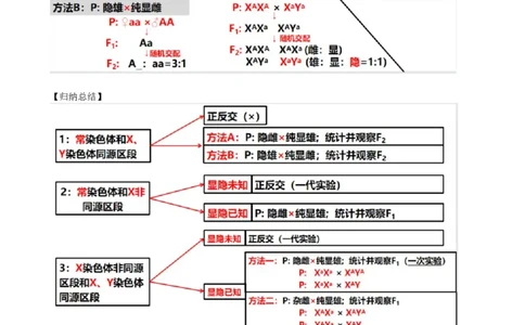 第19讲遗传综合实验分析（讲义）（教师版）_2024年新高考资料_1.2024一轮复习_2024年高考生物一轮复习讲练测（新教材新高考）