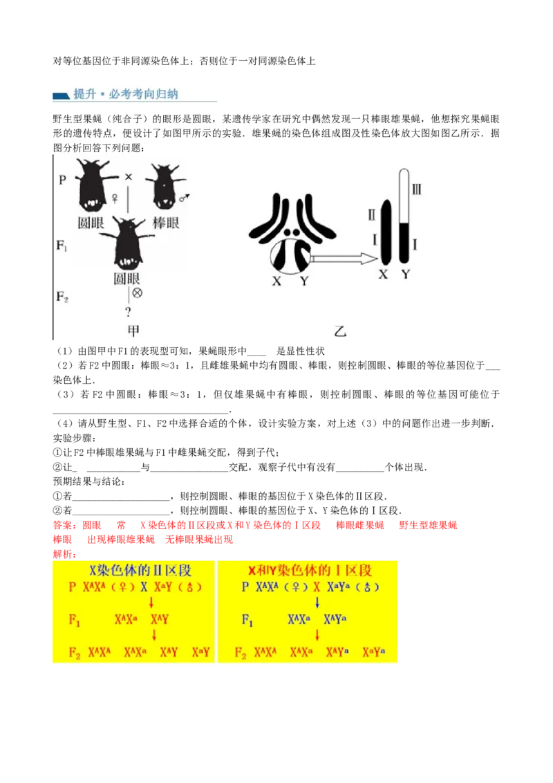 第19讲遗传综合实验分析（讲义）（教师版）_2024年新高考资料_1.2024一轮复习_2024年高考生物一轮复习讲练测（新教材新高考）