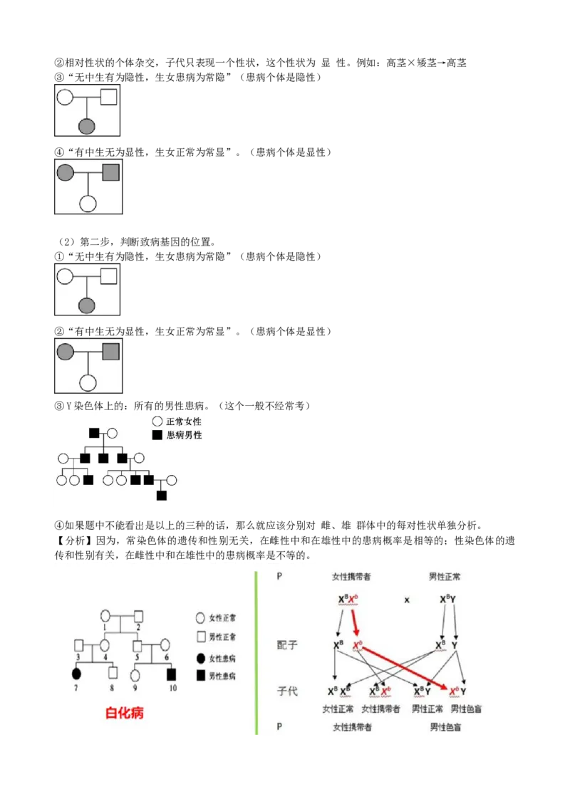 第19讲遗传综合实验分析（讲义）（教师版）_2024年新高考资料_1.2024一轮复习_2024年高考生物一轮复习讲练测（新教材新高考）