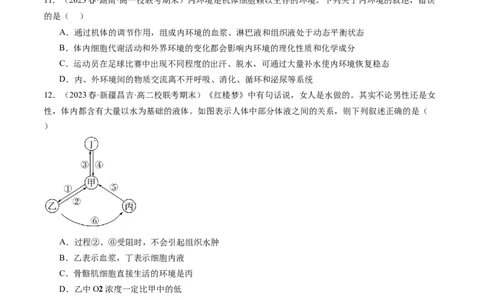 第25讲内环境与稳态（练习）（原卷版）_2024年新高考资料_1.2024一轮复习_2024年高考生物一轮复习讲练测（新教材新高考）