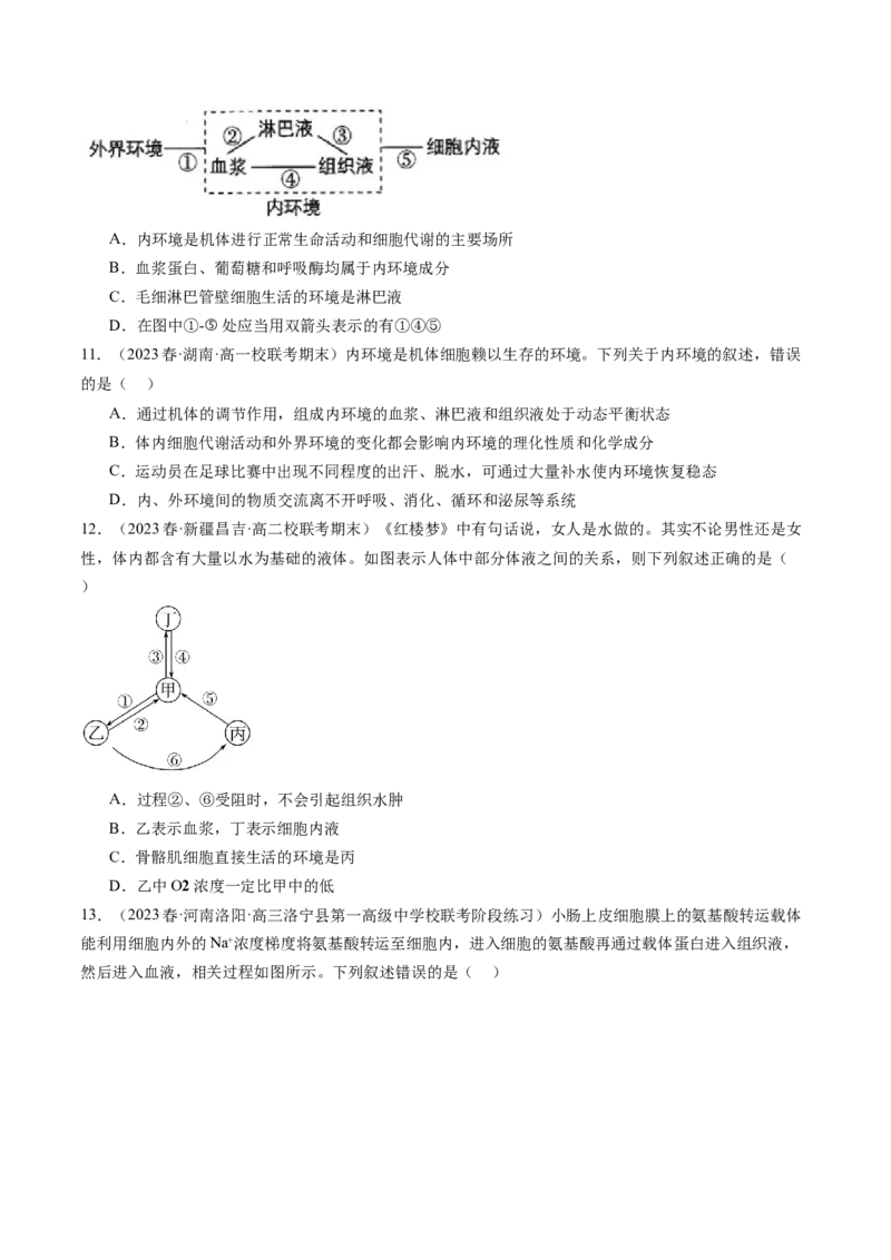 第25讲内环境与稳态（练习）（原卷版）_2024年新高考资料_1.2024一轮复习_2024年高考生物一轮复习讲练测（新教材新高考）