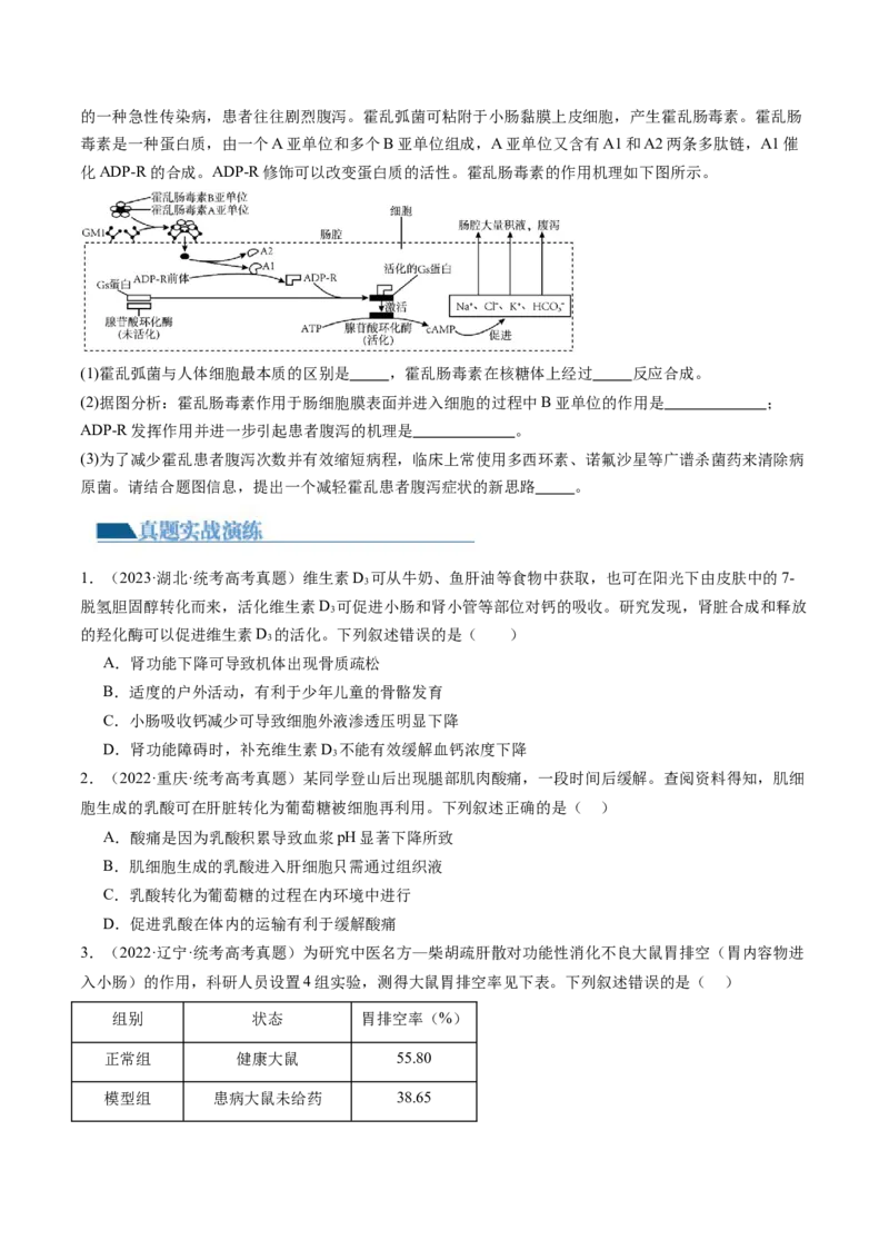 第25讲内环境与稳态（练习）（原卷版）_2024年新高考资料_1.2024一轮复习_2024年高考生物一轮复习讲练测（新教材新高考）