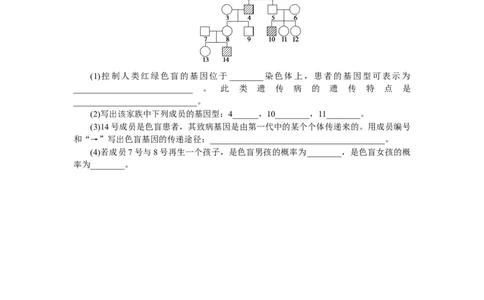 专练50　人类遗传病图像分析与概率计算_通用版（老高考）复习资料_2023年复习资料_专项复习_2023《微专题&middot;小练习》&middot;生物
