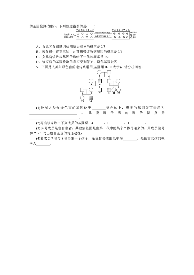 专练50　人类遗传病图像分析与概率计算_通用版（老高考）复习资料_2023年复习资料_专项复习_2023《微专题&middot;小练习》&middot;生物