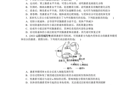 专练62　激素调节(A)_通用版（老高考）复习资料_2023年复习资料_专项复习_2023《微专题&middot;小练习》&middot;生物