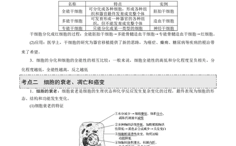 GKSW150_第11讲细胞的分化、衰老、凋亡与癌变-备战2022年高考生物一轮复习精品讲义（人教版）(原卷版)_新高考复习资料_2022年新高考复习资料