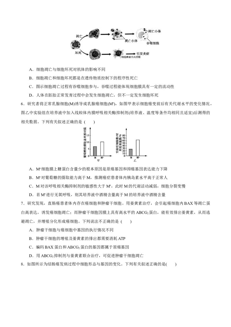 GKSW150_第11讲细胞的分化、衰老、凋亡与癌变-备战2022年高考生物一轮复习精品讲义（人教版）(原卷版)_新高考复习资料_2022年新高考复习资料