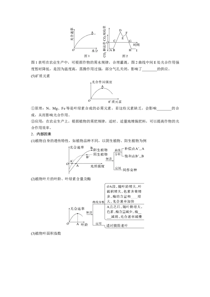 第3单元　第6课时　光合作用的影响因素及其应用_2024年新高考资料_1.2024一轮复习_2024年高考生物一轮复习讲义（新人教版）_学生版在此文件夹_大一轮复习讲义