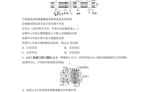 第2单元　课时练5　物质出入细胞的方式及影响因素_2024年新高考资料_1.2024一轮复习_2024年高考生物一轮复习讲义（新人教版）_学生版在此文件夹_一轮复习69练
