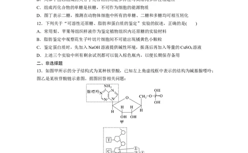 第1单元　课时练4　核酸是遗传信息的携带者、有机物的鉴定_2024年新高考资料_1.2024一轮复习_2024年高考生物一轮复习讲义（新人教版）_学生版在此文件夹_一轮复习69练