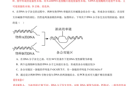 第18讲基因工程（练习）（解析版）_2024年新高考资料_2.2024二轮复习_2024年高考生物二轮复习讲练测（新教材新高考）