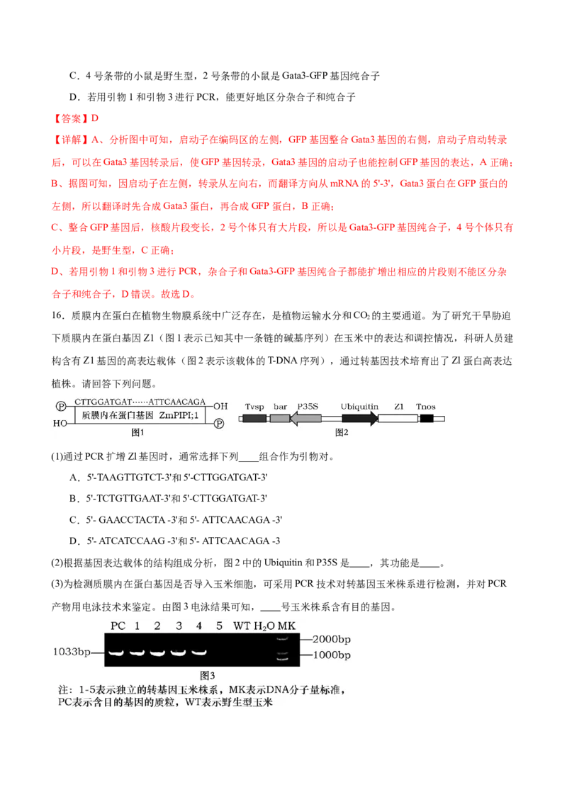 第18讲基因工程（练习）（解析版）_2024年新高考资料_2.2024二轮复习_2024年高考生物二轮复习讲练测（新教材新高考）
