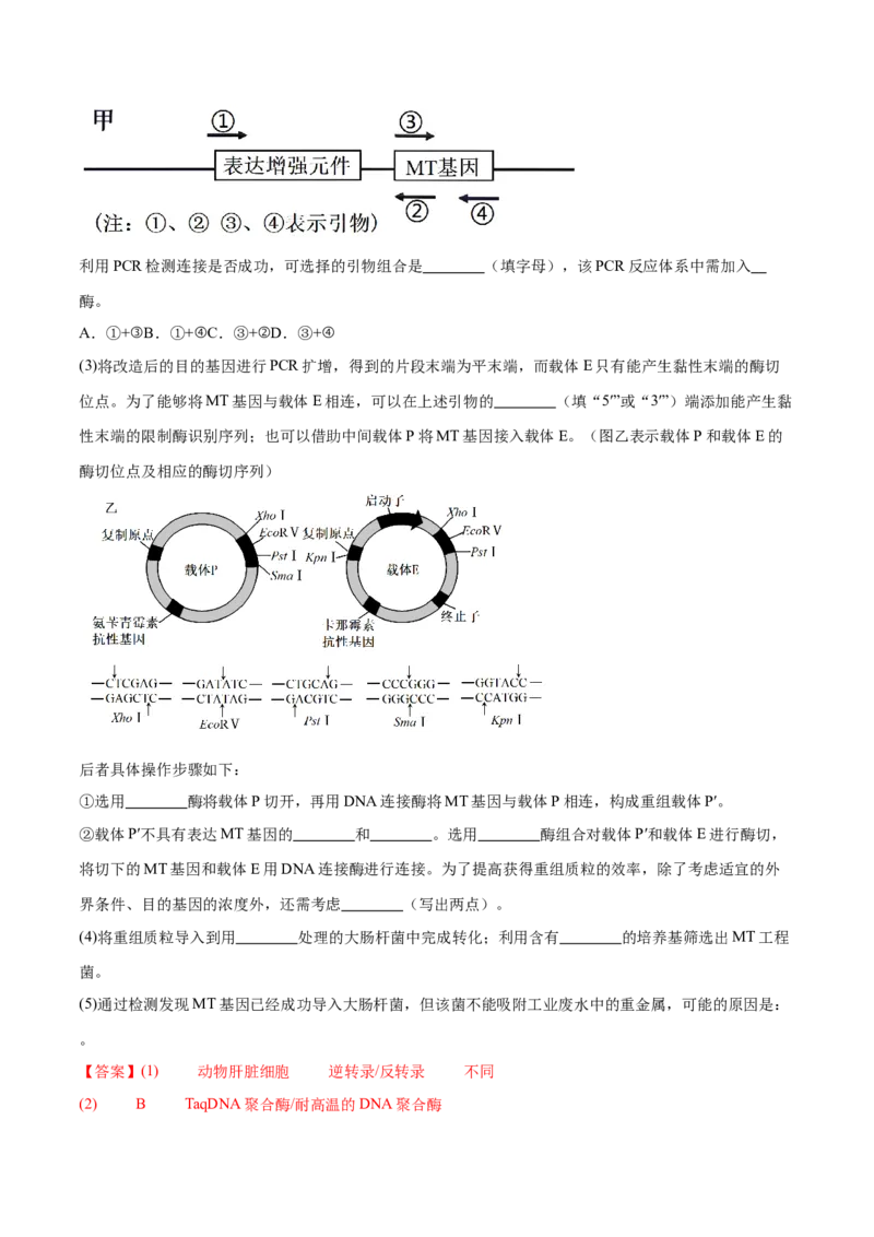 第18讲基因工程（练习）（解析版）_2024年新高考资料_2.2024二轮复习_2024年高考生物二轮复习讲练测（新教材新高考）
