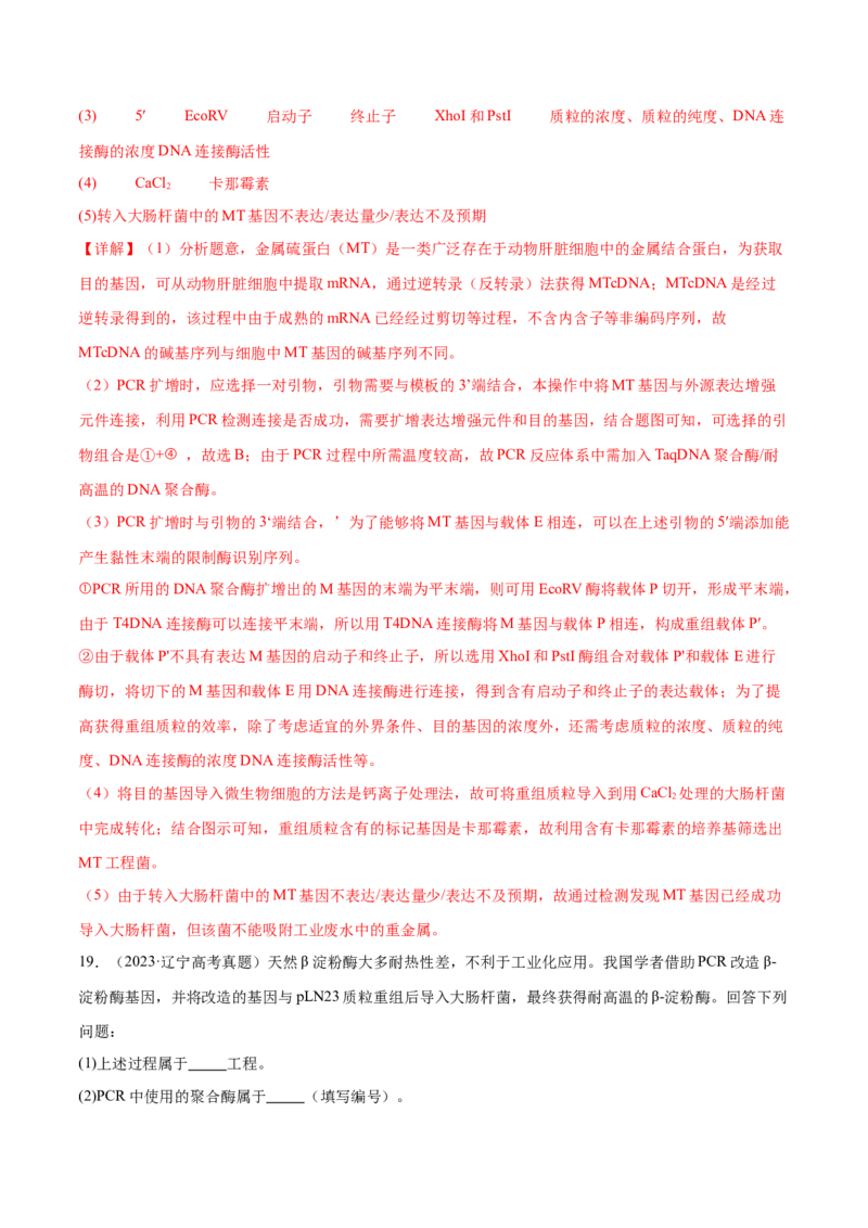 第18讲基因工程（练习）（解析版）_2024年新高考资料_2.2024二轮复习_2024年高考生物二轮复习讲练测（新教材新高考）
