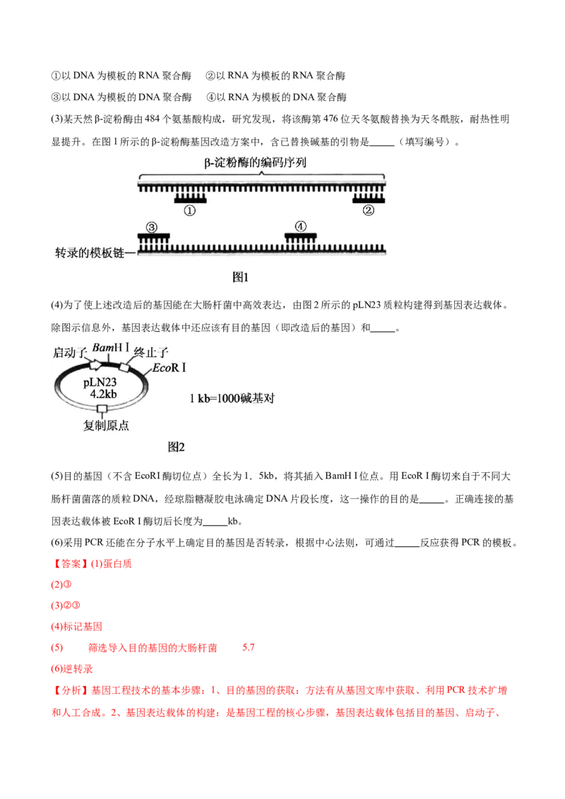 第18讲基因工程（练习）（解析版）_2024年新高考资料_2.2024二轮复习_2024年高考生物二轮复习讲练测（新教材新高考）
