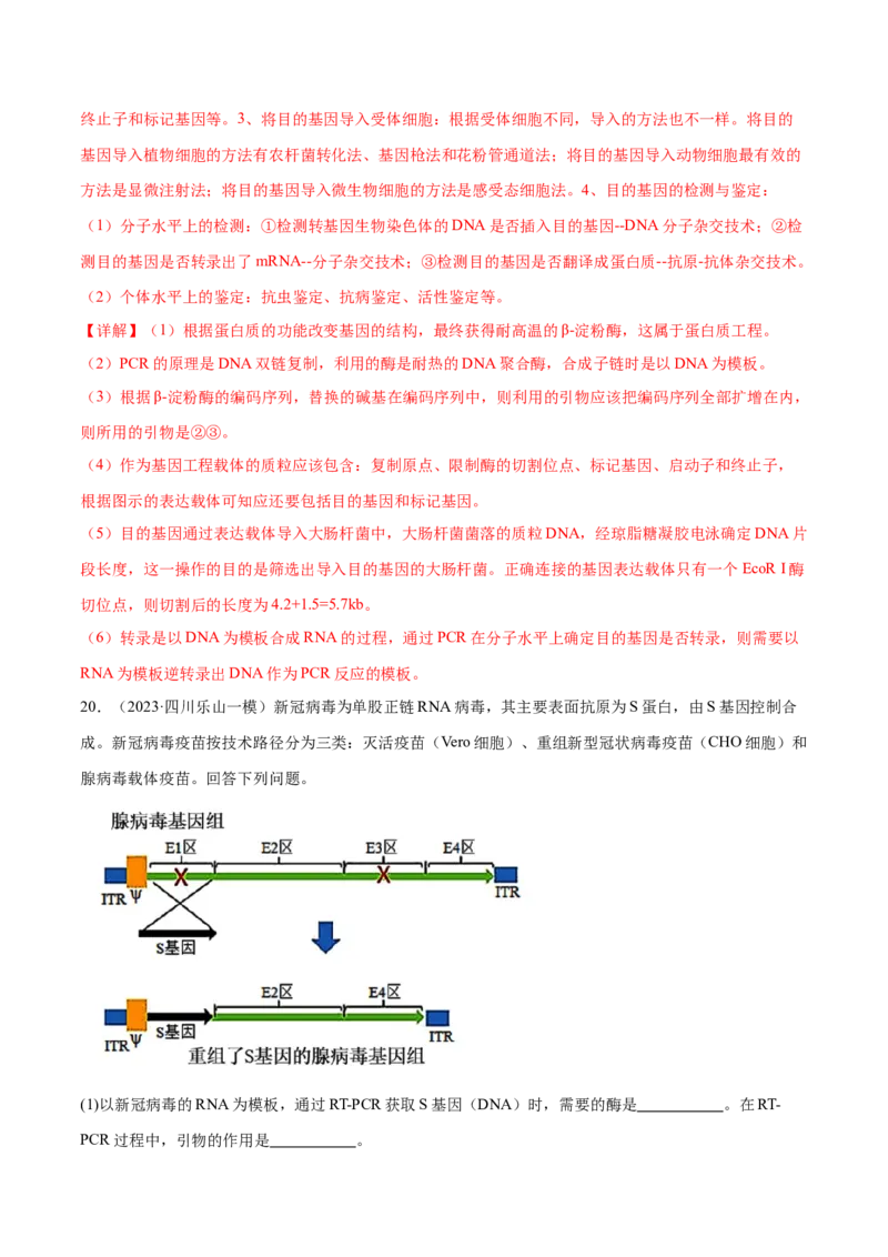 第18讲基因工程（练习）（解析版）_2024年新高考资料_2.2024二轮复习_2024年高考生物二轮复习讲练测（新教材新高考）