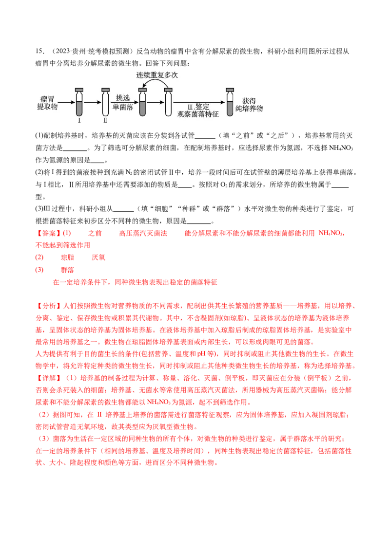 第38讲传统发酵技术和发酵工程的应用（练习）（解析版）_2024年新高考资料_1.2024一轮复习_2024年高考生物一轮复习讲练测（新教材新高考）