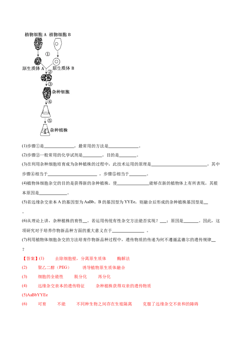 第17讲细胞工程（练习）（解析版）_2024年新高考资料_2.2024二轮复习_2024年高考生物二轮复习讲练测（新教材新高考）