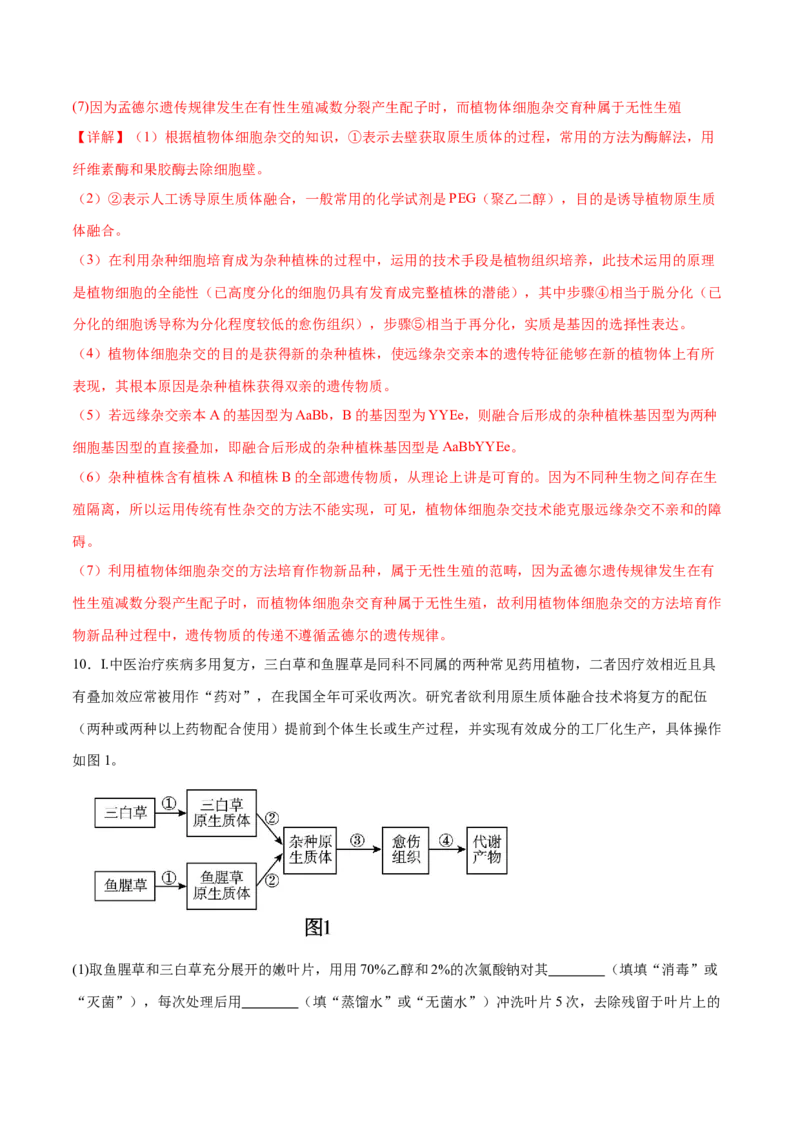 第17讲细胞工程（练习）（解析版）_2024年新高考资料_2.2024二轮复习_2024年高考生物二轮复习讲练测（新教材新高考）