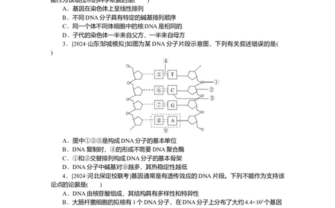 2025届高中生物学一轮复习检测案21　DNA的结构、复制及基因（含解析）_2025年新高考资料_一轮复习_2025届高中生物学一轮复习分层复习检测(含解析)