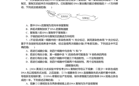 2025届高中生物学一轮复习检测案21　DNA的结构、复制及基因（含解析）_2025年新高考资料_一轮复习_2025届高中生物学一轮复习分层复习检测(含解析)