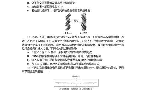 2025届高中生物学一轮复习检测案21　DNA的结构、复制及基因（含解析）_2025年新高考资料_一轮复习_2025届高中生物学一轮复习分层复习检测(含解析)