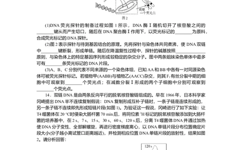 2025届高中生物学一轮复习检测案21　DNA的结构、复制及基因（含解析）_2025年新高考资料_一轮复习_2025届高中生物学一轮复习分层复习检测(含解析)
