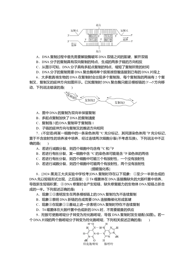 2025届高中生物学一轮复习检测案21　DNA的结构、复制及基因（含解析）_2025年新高考资料_一轮复习_2025届高中生物学一轮复习分层复习检测(含解析)