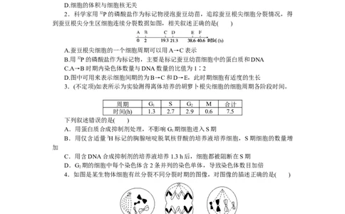 专练31　细胞的增殖_新高考复习资料_2023年新高考复习资料_专项复习_2023《微专题&middot;小练习》&middot;生物&middot;新教材&middot;XL-7