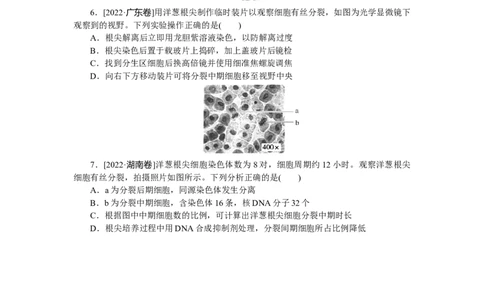 专练31　细胞的增殖_新高考复习资料_2023年新高考复习资料_专项复习_2023《微专题&middot;小练习》&middot;生物&middot;新教材&middot;XL-7