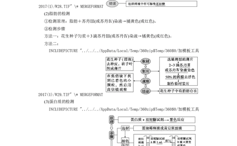 [12501765]高中生物一轮复习学案：第2讲　组成细胞的元素、无机物、糖类和脂质_新高考复习资料_2023年新高考复习资料_一轮复习_精讲精练2023届新高考生物一轮复习学案