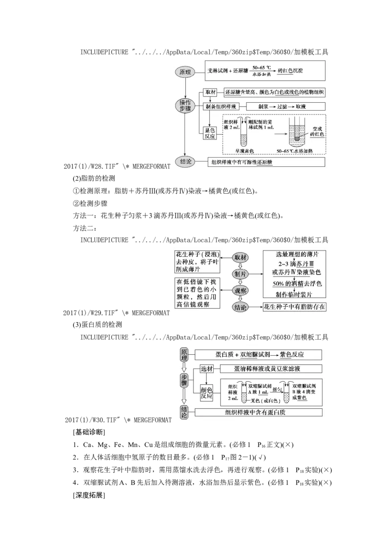 [12501765]高中生物一轮复习学案：第2讲　组成细胞的元素、无机物、糖类和脂质_新高考复习资料_2023年新高考复习资料_一轮复习_精讲精练2023届新高考生物一轮复习学案
