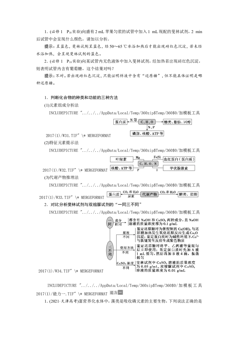 [12501765]高中生物一轮复习学案：第2讲　组成细胞的元素、无机物、糖类和脂质_新高考复习资料_2023年新高考复习资料_一轮复习_精讲精练2023届新高考生物一轮复习学案