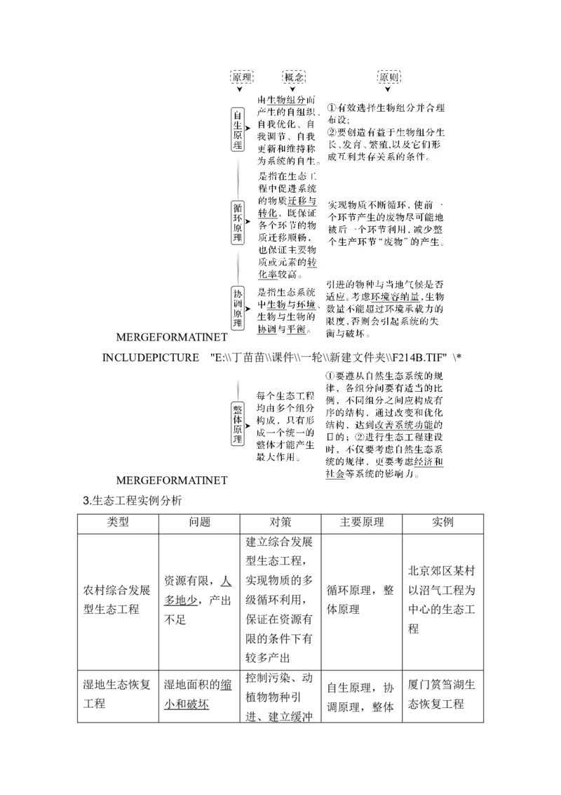 第31讲人与环境_2024年新高考资料_1.2024一轮复习_2024年高考生物一轮复习讲义（新人教版）_另附1套Word版题库_选择性必修2_第九单元生物与环境