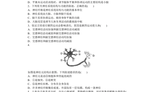 专练65　神经调节的结构基础_新高考复习资料_2023年新高考复习资料_专项复习_2023《微专题&middot;小练习》&middot;生物&middot;新教材&middot;XL-7