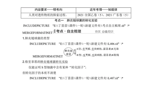 第16讲DNA是主要的遗传物质_2024年新高考资料_1.2024一轮复习_2024年高考生物一轮复习讲义（新人教版）_另附1套Word版题库_必修2_第六单元遗传的分子基础