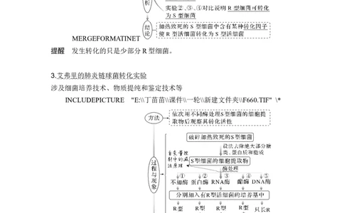 第16讲DNA是主要的遗传物质_2024年新高考资料_1.2024一轮复习_2024年高考生物一轮复习讲义（新人教版）_另附1套Word版题库_必修2_第六单元遗传的分子基础