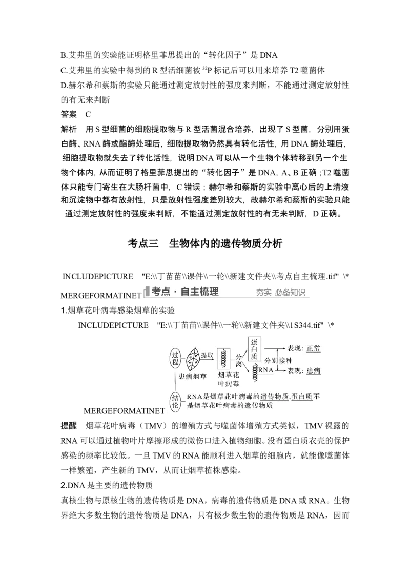 第16讲DNA是主要的遗传物质_2024年新高考资料_1.2024一轮复习_2024年高考生物一轮复习讲义（新人教版）_另附1套Word版题库_必修2_第六单元遗传的分子基础