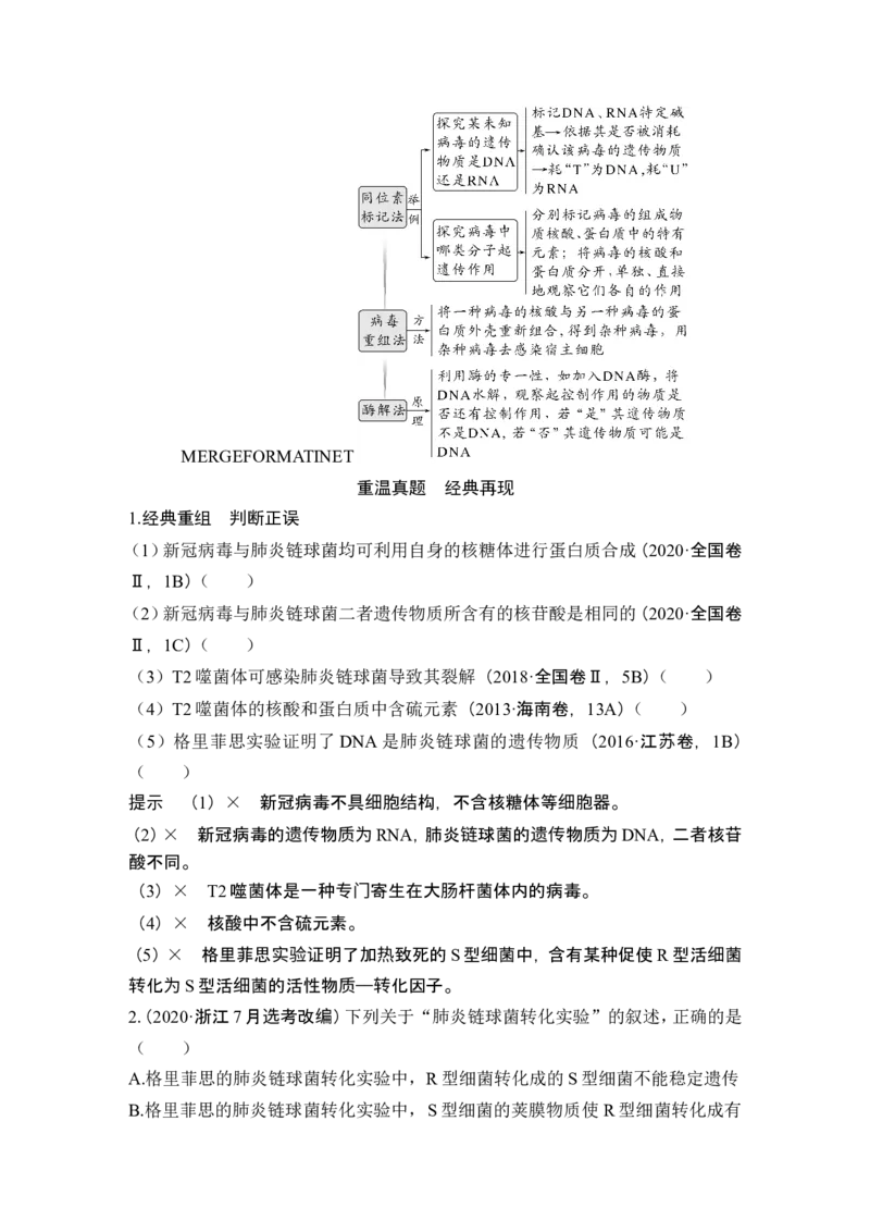 第16讲DNA是主要的遗传物质_2024年新高考资料_1.2024一轮复习_2024年高考生物一轮复习讲义（新人教版）_另附1套Word版题库_必修2_第六单元遗传的分子基础
