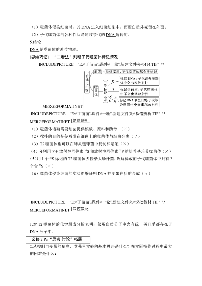 第16讲DNA是主要的遗传物质_2024年新高考资料_1.2024一轮复习_2024年高考生物一轮复习讲义（新人教版）_另附1套Word版题库_必修2_第六单元遗传的分子基础