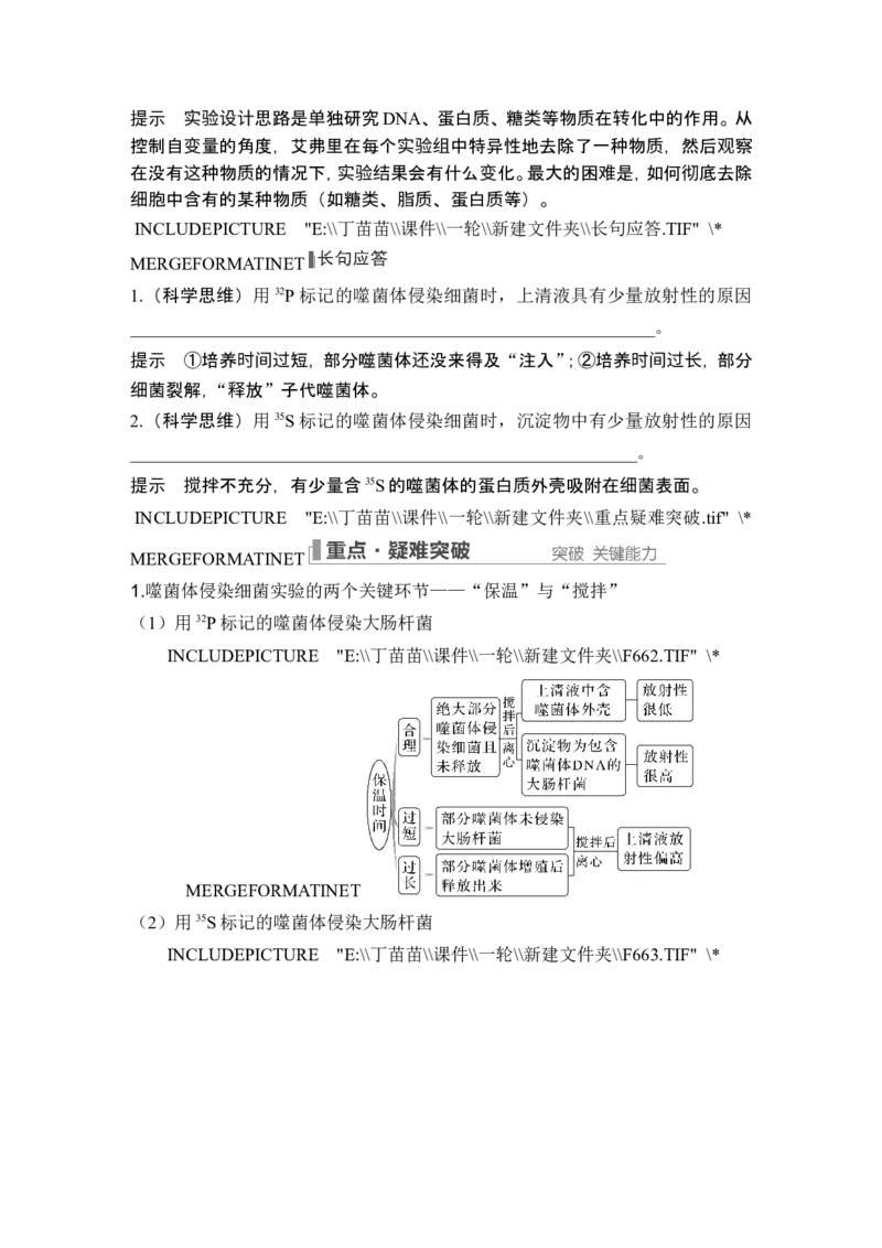 第16讲DNA是主要的遗传物质_2024年新高考资料_1.2024一轮复习_2024年高考生物一轮复习讲义（新人教版）_另附1套Word版题库_必修2_第六单元遗传的分子基础