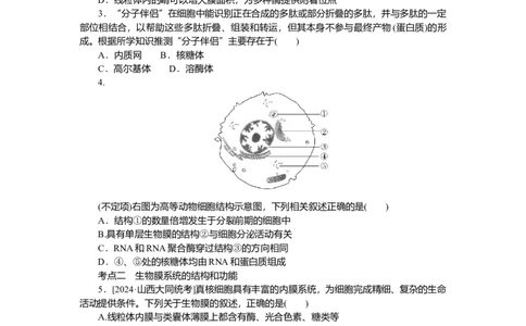 2025届高中生物学一轮复习检测案6　细胞器之间的分工合作（含解析）_2025年新高考资料_一轮复习_2025届高中生物学一轮复习分层复习检测(含解析)