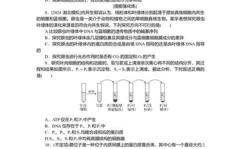 2025届高中生物学一轮复习检测案6　细胞器之间的分工合作（含解析）_2025年新高考资料_一轮复习_2025届高中生物学一轮复习分层复习检测(含解析)