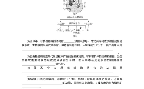 2025届高中生物学一轮复习检测案6　细胞器之间的分工合作（含解析）_2025年新高考资料_一轮复习_2025届高中生物学一轮复习分层复习检测(含解析)