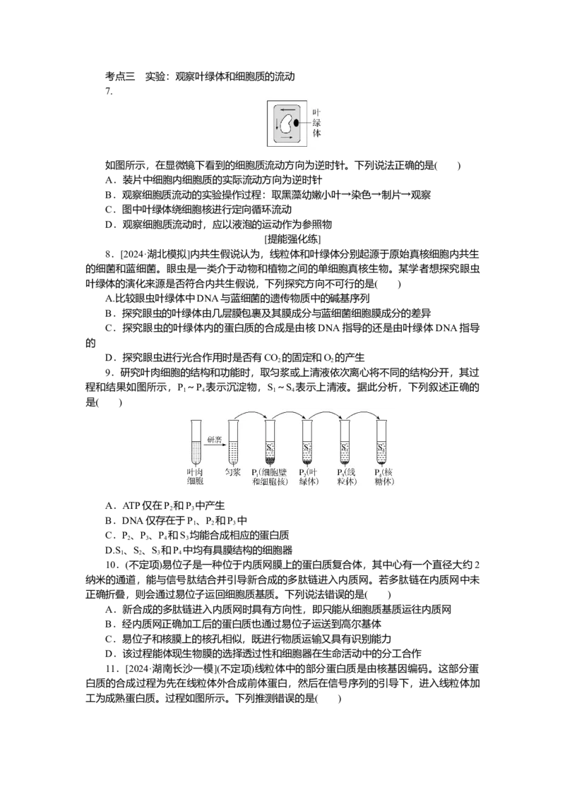 2025届高中生物学一轮复习检测案6　细胞器之间的分工合作（含解析）_2025年新高考资料_一轮复习_2025届高中生物学一轮复习分层复习检测(含解析)