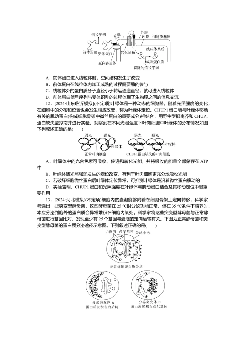 2025届高中生物学一轮复习检测案6　细胞器之间的分工合作（含解析）_2025年新高考资料_一轮复习_2025届高中生物学一轮复习分层复习检测(含解析)