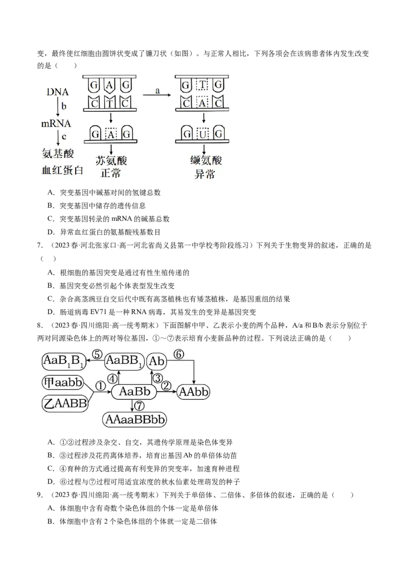 第23讲生物的变异（练习）（原卷版）_2024年新高考资料_1.2024一轮复习_2024年高考生物一轮复习讲练测（新教材新高考）